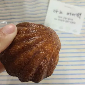 아느양과 대표 사진