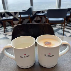 폴 바셋 리뷰 사진