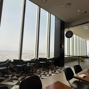 폴 바셋 리뷰 사진