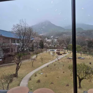 스타벅스 대표 사진