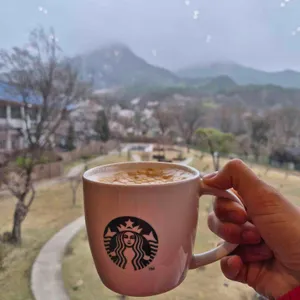 스타벅스 대표 사진