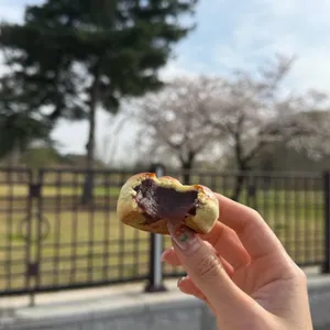 황남빵 사진 1