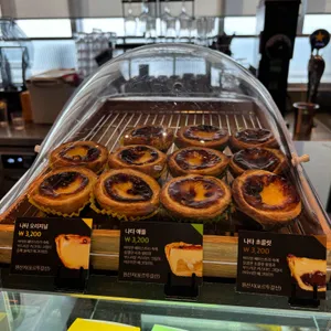 폴 바셋 리뷰 사진