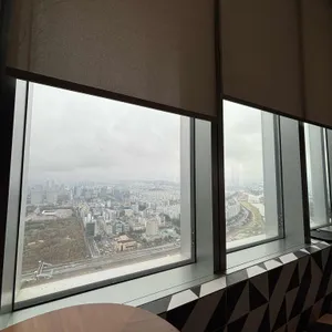 폴 바셋 리뷰 사진