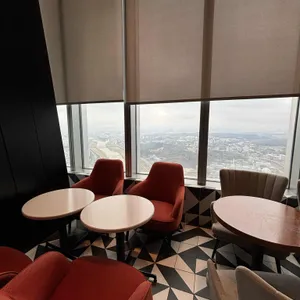 폴 바셋 리뷰 사진