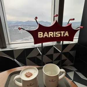 폴 바셋 리뷰 사진