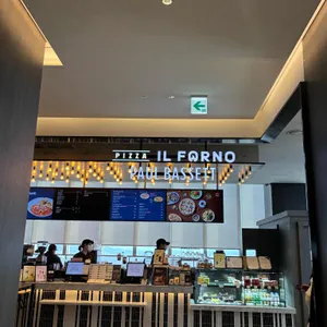 폴 바셋 리뷰 사진