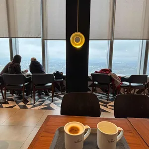 폴 바셋 대표 사진