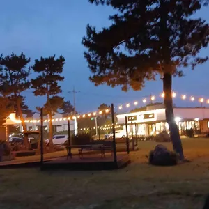 도톰 리뷰 사진