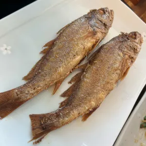 다솥맛집 프리미엄부산 사진