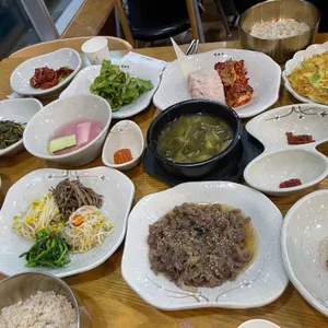벽오동 사진