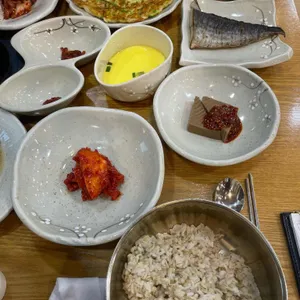 벽오동 사진