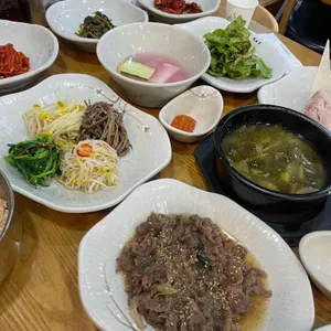 벽오동 사진
