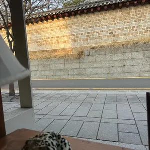 서울집시 대표 사진