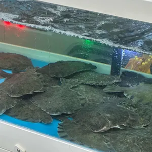 우리동네 연안부두 사진