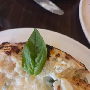 핏제리아라우로라 사진 1