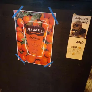 마르코웤스 대표 사진