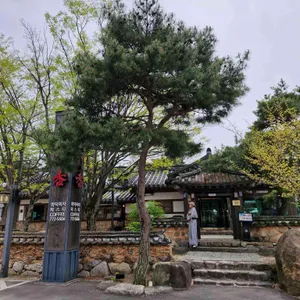 산죽향 대표 사진
