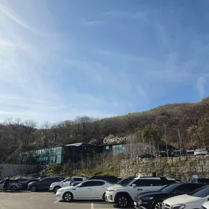 오랑주리 리뷰 사진