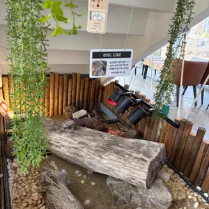 카페 오무아무아 대표 사진