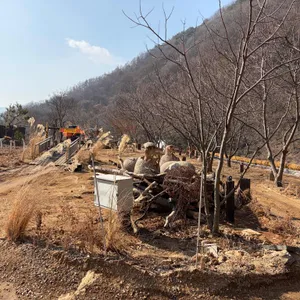 카페 오무아무아 리뷰 사진