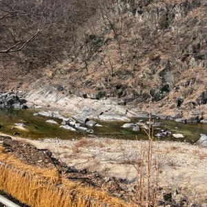 카페 오무아무아 대표 사진