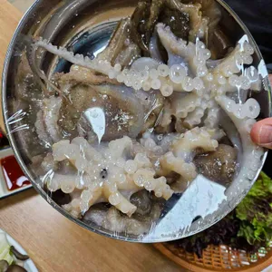 광어한마리 사진 2