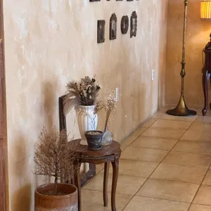 리틀유럽 대표 사진