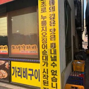 모녀가리비 대표 사진