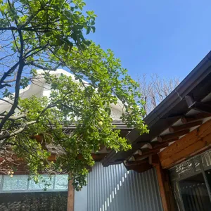 타렛 대표 사진