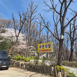 자연식당 리뷰 사진