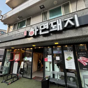 하면돼지 사진