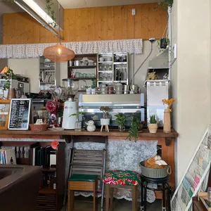 양말코히 대표 사진