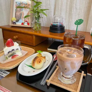 양말코히 대표 사진