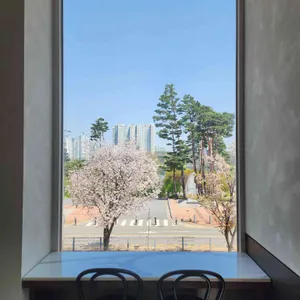 티크닉 대표 사진