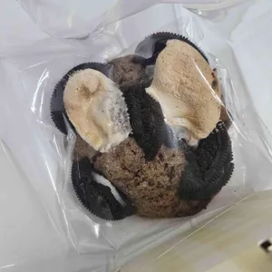 꿀소담 대표 사진