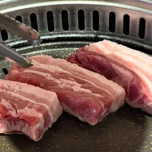 거북이동네 대표 사진