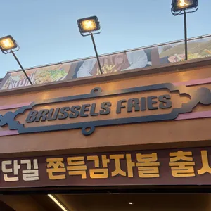 브뤼셀프라이 리뷰 사진