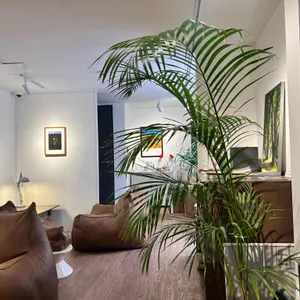 보통의날 대표 사진