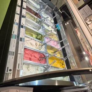 젤라떼리아 도도 사진 1