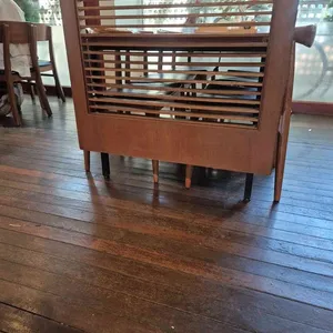 단풍나무 대표 사진