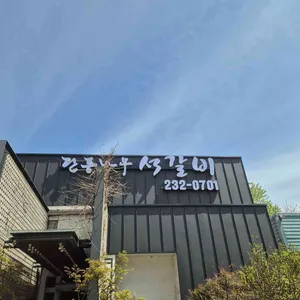 단풍나무 대표 사진