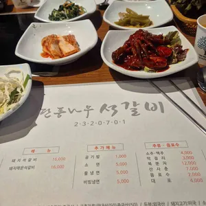 단풍나무 리뷰 사진