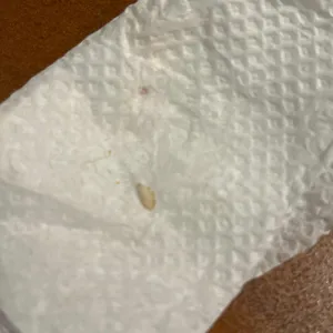 피슈마라홍탕 대표 사진