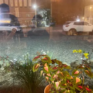 묵수당 도토리요리&동태탕 리뷰 사진