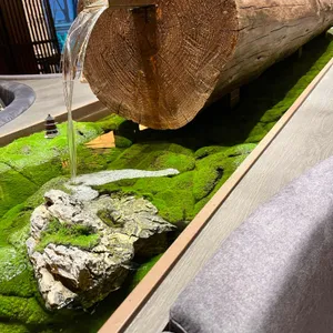 팔복 오리 사진