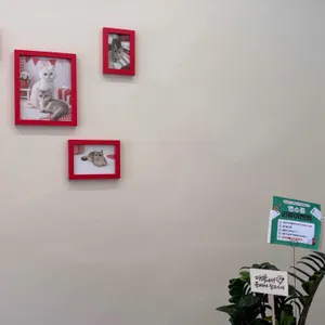 토리베이크 대표 사진