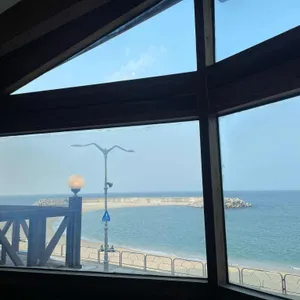 카페 우디 사진 1