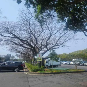 오후새우시 리뷰 사진