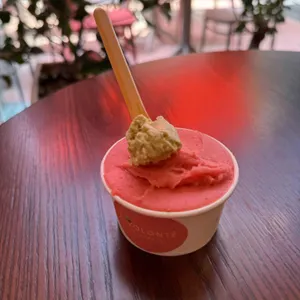 아볼롱떼 대표 사진